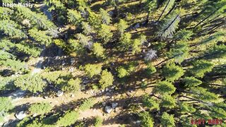 Ami Bue Gets Tied Up And Fucked In The Woods OnlyFans