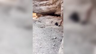 PeachyPrime Gets Creampied By A Random Hiker OnlyFans
